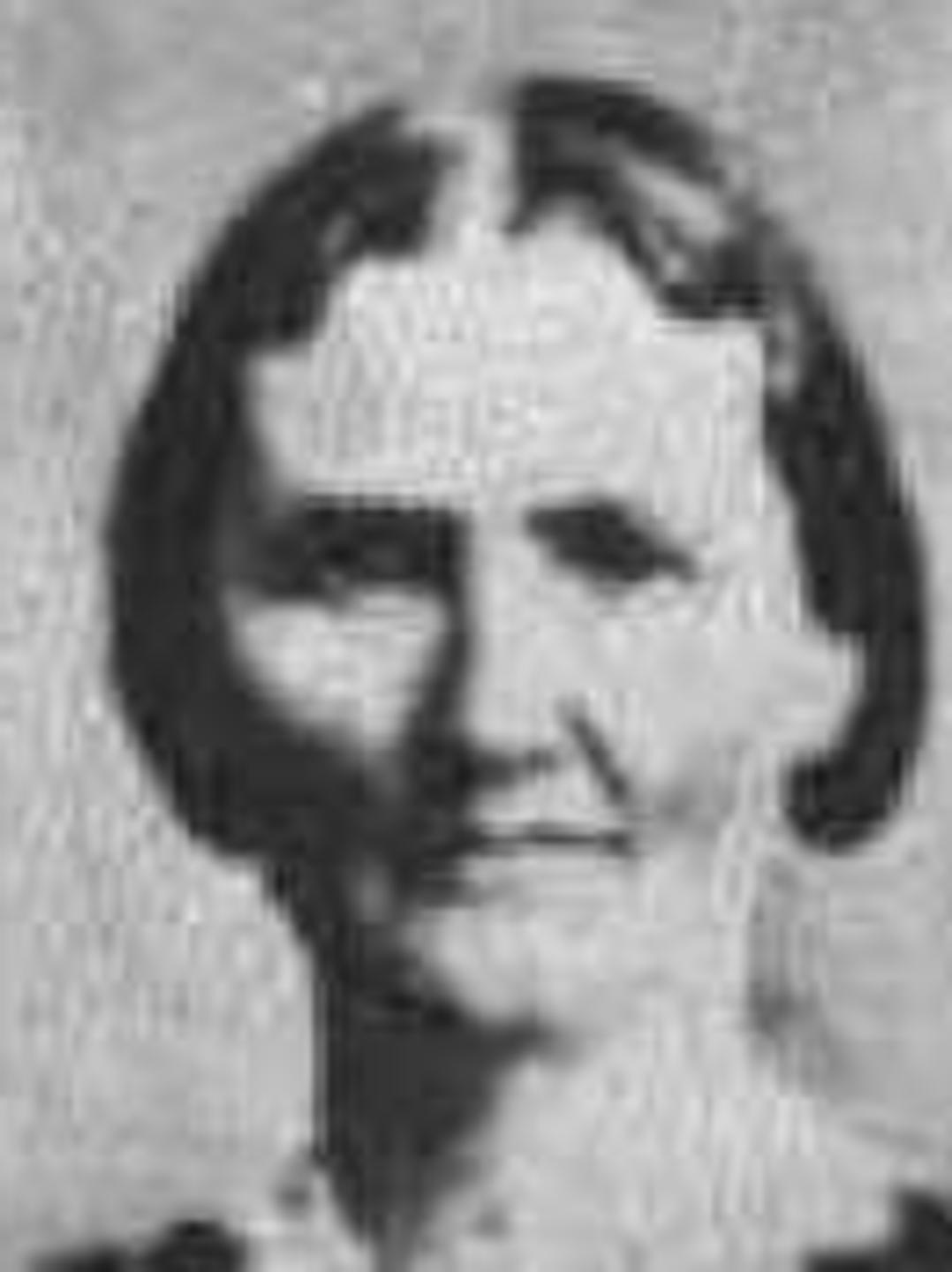 Ellen Rockwood (1829 - 1866) Profile